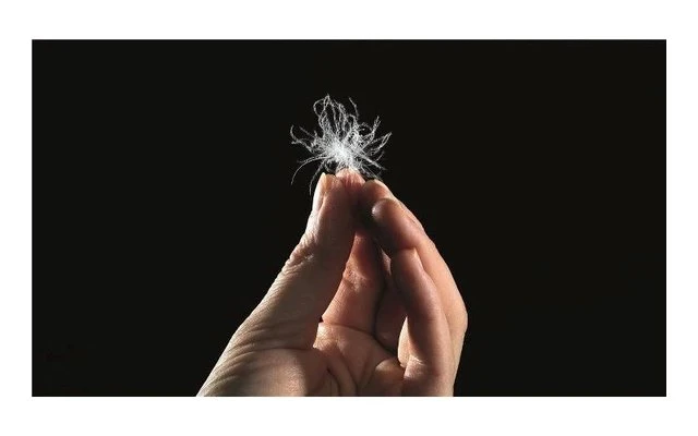 Outwell Oak Lux Schlafsack 220 X 84 Cm Grau 9 Outwell Oak Lux Schlafsack 220 X 84 Cm Grau – Bild 7